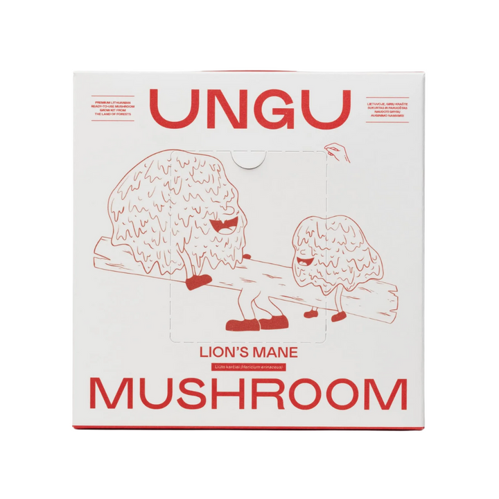 Lion’s Mane Mushroom Growkit - Size M